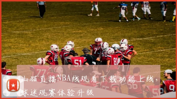 山猫直播NBA线观看下载功能上线，球迷观赛体验升级