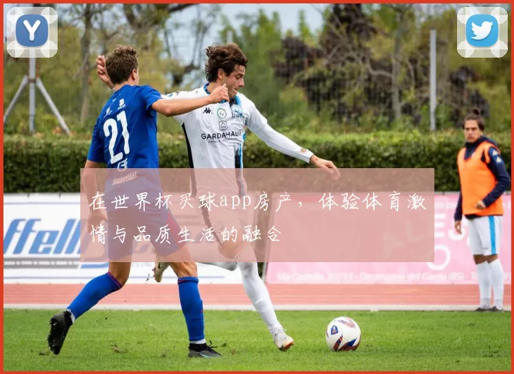 在世界杯买球app房产，体验体育激情与品质生活的融合
