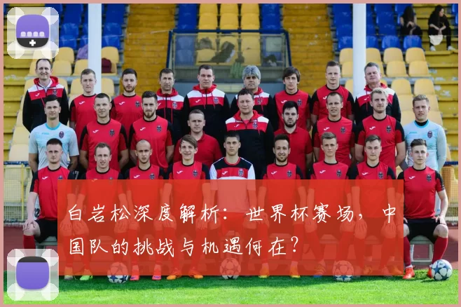 白岩松深度解析:世界杯赛场,中国队的挑战与机遇何在?