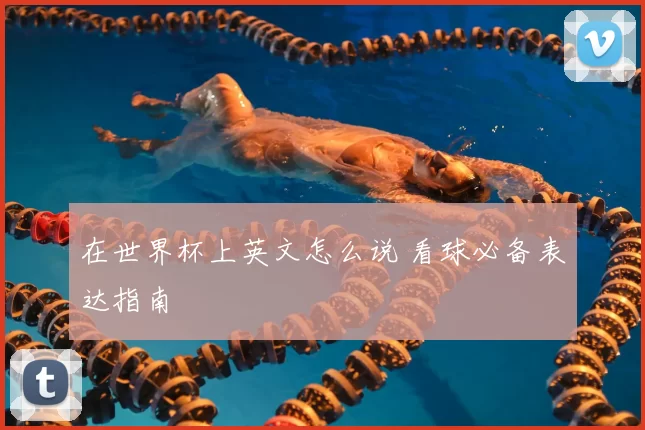 在世界杯上英文怎么说 看球必备表达指南