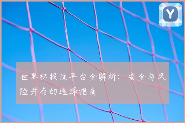 世界杯投注平台全解析:安全与风险并存的选择指南