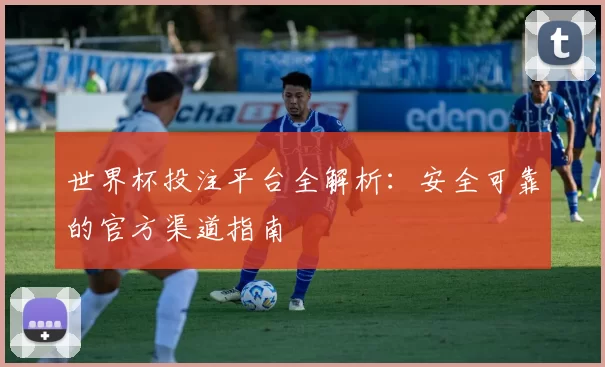 世界杯投注平台全解析：安全可靠的官方渠道指南