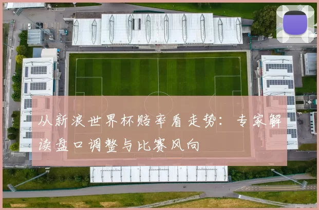 从新浪世界杯赔率看走势:专家解读盘口调整与比赛风向