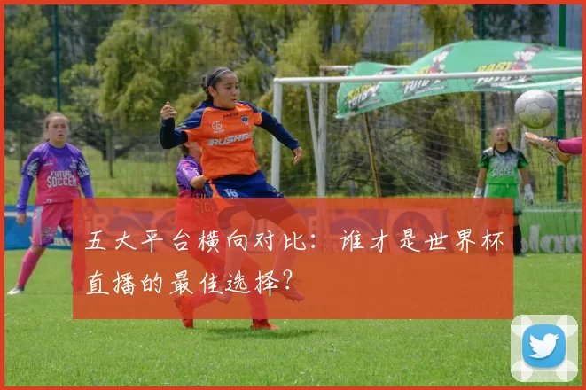 五大平台横向对比:谁才是世界杯直播的最佳选择?