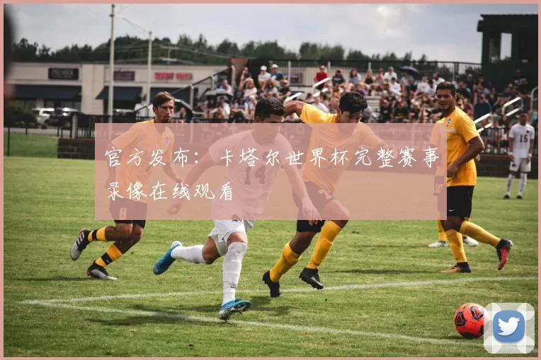 官方发布:卡塔尔世界杯完整赛事录像在线观看