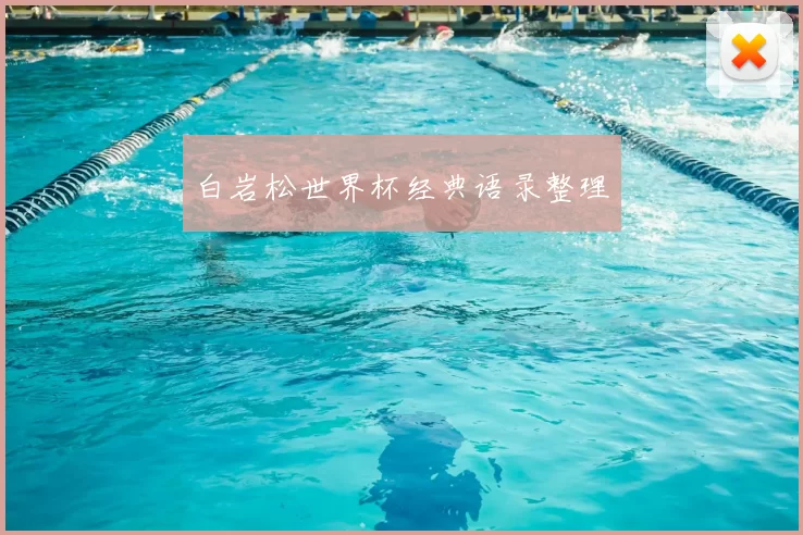 白岩松世界杯经典语录整理