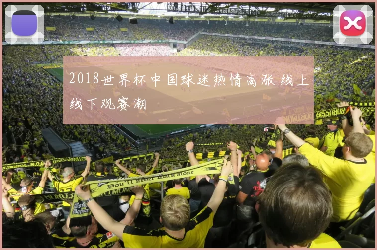 2018世界杯中国球迷热情高涨 线上线下观赛潮