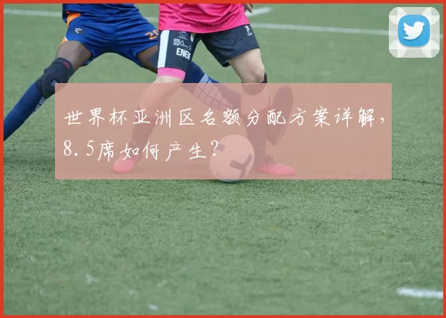 世界杯亚洲区名额分配方案详解，8.5席如何产生？