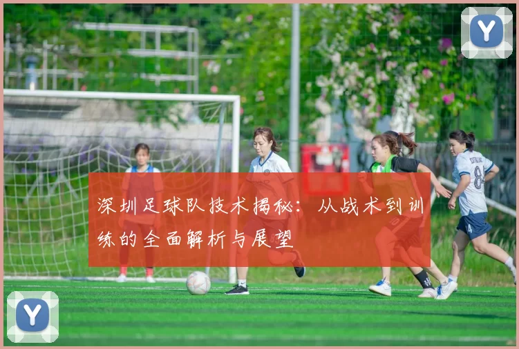 深圳足球队技术揭秘：从战术到训练的全面解析与展望