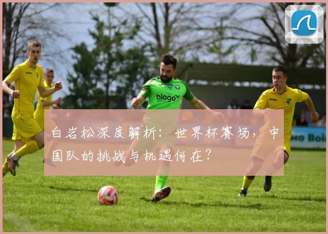 白岩松深度解析:世界杯赛场,中国队的挑战与机遇何在?
